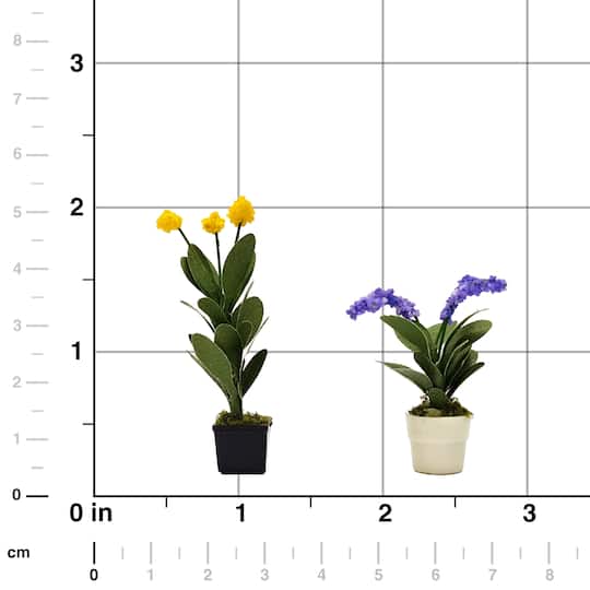 Mini Potted Orchid Plants by Make Market®
